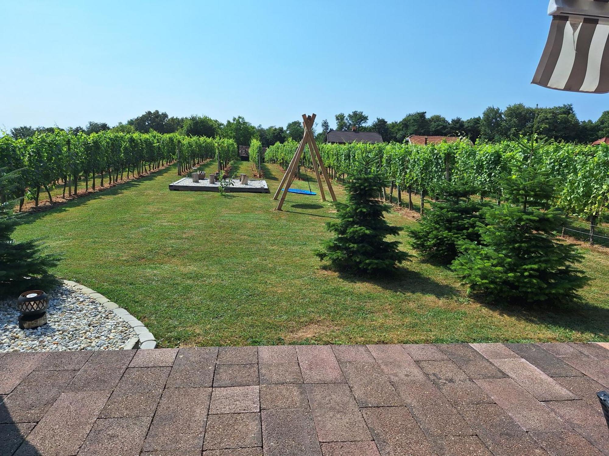 Logarska Koca Villa Fokovci Ngoại thất bức ảnh