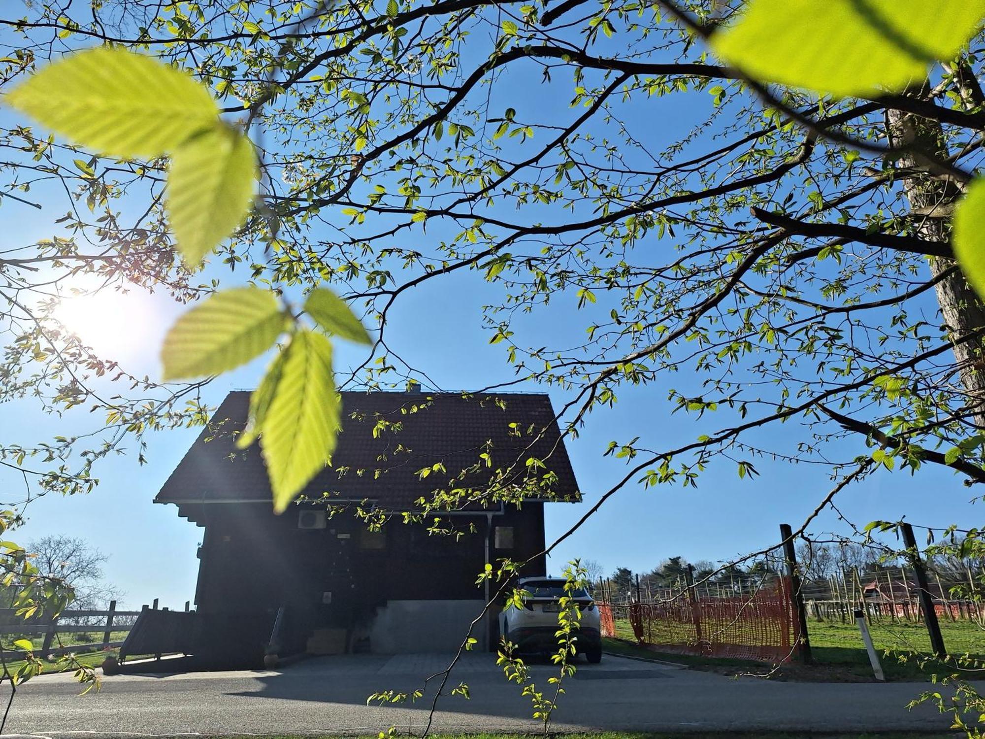 Logarska Koca Villa Fokovci Ngoại thất bức ảnh